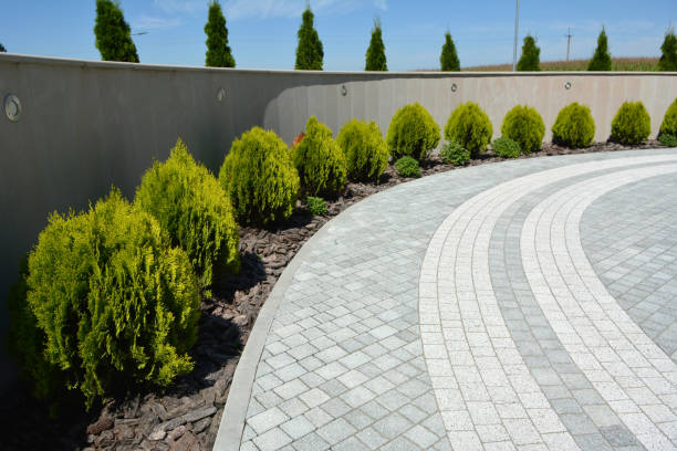Best Decorative Driveway Pavers  in King Cove, AK